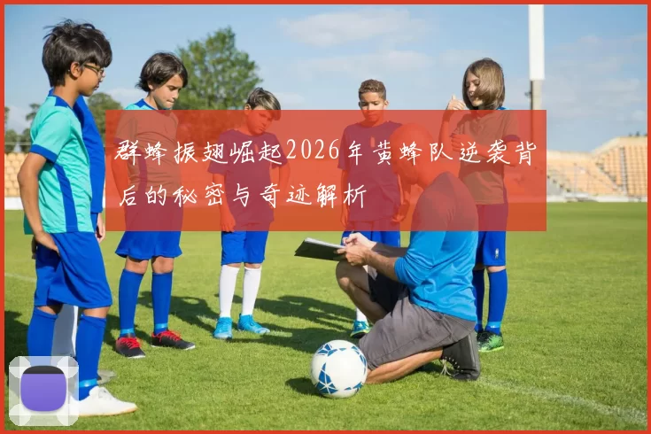 群蜂振翅崛起2026年黄蜂队逆袭背后的秘密与奇迹解析